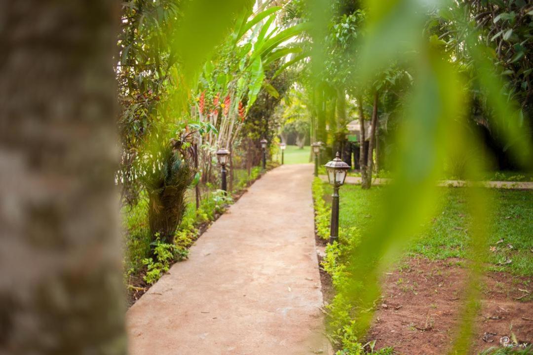 Village Noah Yaoundé 外观 照片